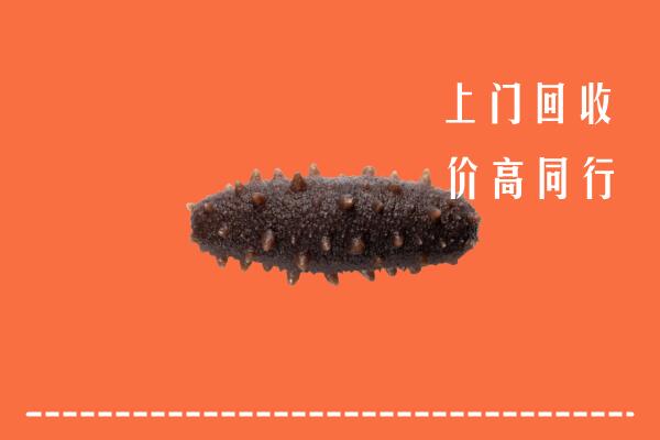 黔东南州岑巩回收海参