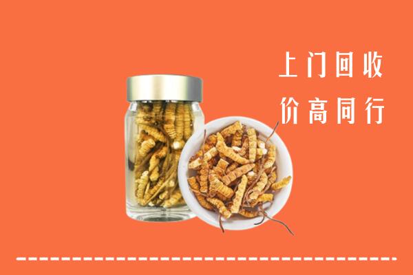 黔东南州岑巩回收冬虫夏草